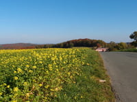 Hordtberg da Oberbonsfeld