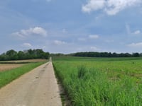 Horenbosweg