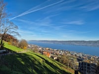 Horgenberg desde Horgen por Sihlwaldweg