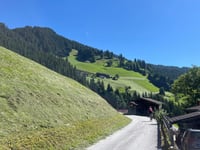 Horler Stiegl von Auffach