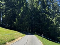 Hornberg da Saanenmöser