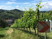 Hornisgrinde vanuit Achern