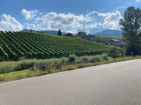 Hornisgrinde vanuit Achern