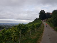 Hornisgrinde vanuit Achern