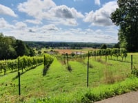 Houwaartberg über Solleweg & Kaaskorf