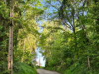 Houwaartberg über Solleweg & Kaaskorf