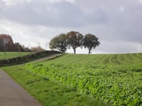 Hoverveldweg von Op de Hoven
