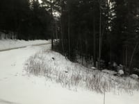 Høvringen