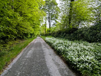 Hownel Lane da Stag's Head Cross