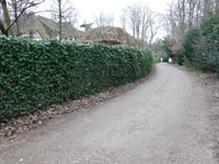 Bierweg desde Blaricum