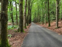 Hullekesberg depuis De Steeg