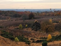 Hullekesberg depuis De Steeg