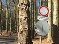 Hullekesberg depuis De Steeg