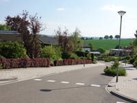 Hulsveld