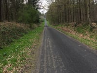 Kartenspielerweg / Hunsköbel von Klever Reichswald