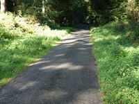 Kartenspielerweg / Hunsköbel von Klever Reichswald