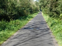 Kartenspielerweg / Hunsköbel von Klever Reichswald