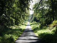 Kartenspielerweg / Hunsköbel von Klever Reichswald