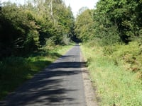 Kartenspielerweg / Hunsköbel von Klever Reichswald