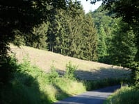Hupperdange przez Hanefeld
