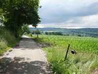 Hurpesch