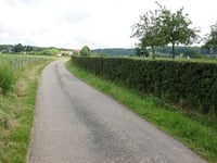 Hurpesch