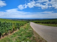 Husseren les Châteaux from Eguisheim via Route du Vin