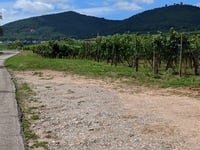 Husseren les Châteaux from Eguisheim via Route du Vin