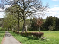 Im Kirchendresch von Im Noelssief