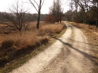 Imbos from Landgoed Boshul