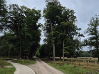 Signaal Imbosch von Eerbeek