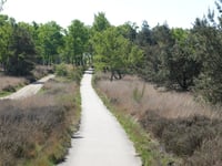 Signaal Imbosch z Terlet