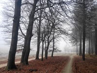 Signaal Imbosch z Terlet