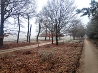 Signaal Imbosch z Terlet
