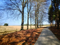 Signaal Imbosch z Terlet