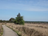 Signaal Imbosch von Eerbeek