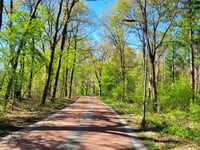 Coldenhovenseweg von Eerbeek