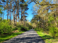 Coldenhovenseweg von Eerbeek