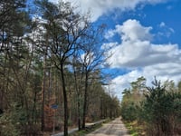 Coldenhovenseweg von Eerbeek