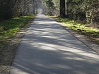 Coldenhovenseweg von Eerbeek