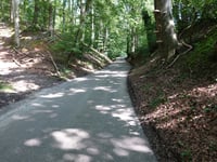 Kleekampsweg depuis De Euren