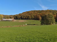 In der Espe von Felderbach
