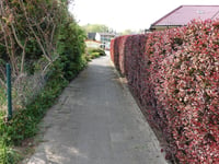 In der Mulde