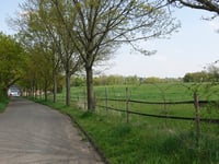 In der Mulde