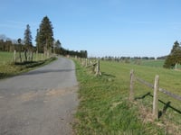 In der Reisbach via Alte Aachener Strasse