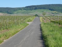 In der Weiherwies von Moselweinstrasse