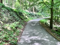 In Dicken Bruch von Rott