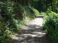 In Dicken Bruch von Rott