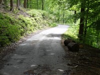 In Dicken Bruch von Rott
