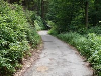 In Dicken Bruch von Rott